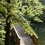 Hotel Waldhalle 4*