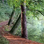 Ξενοδοχείο Waldhalle