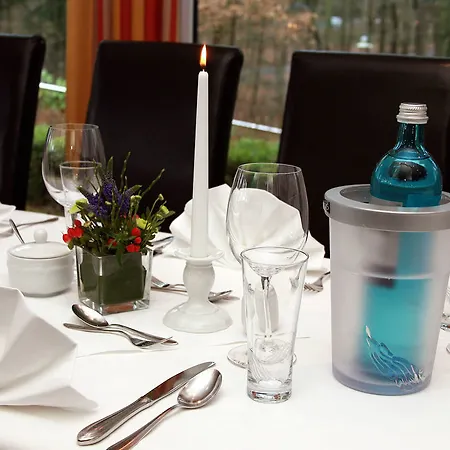 酒店 瓦德海勒酒店 4*