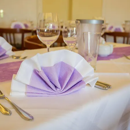 瓦德海勒酒店 酒店