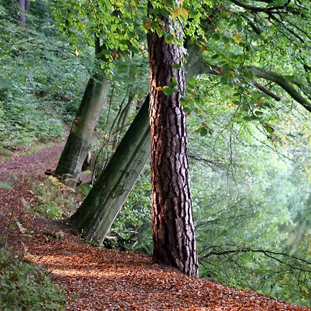 酒店 瓦德海勒酒店