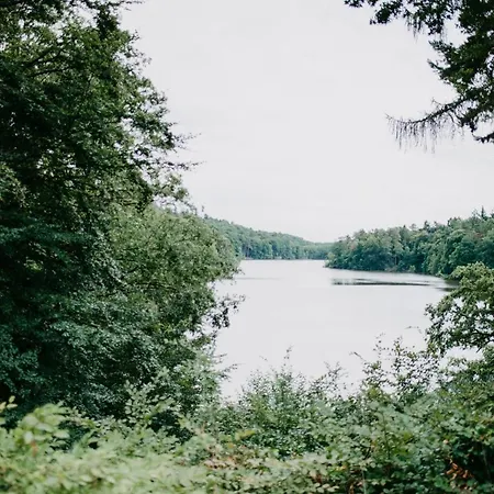 فندق Waldhalle 4*
