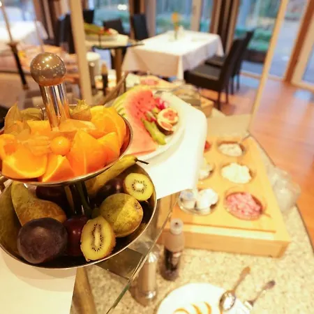 瓦德海勒酒店 酒店 4*