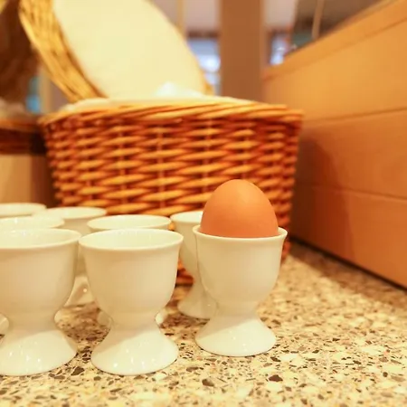 瓦德海勒酒店 酒店 4*