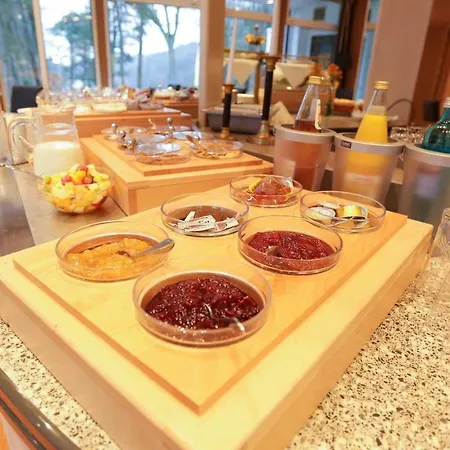 瓦德海勒酒店 4*